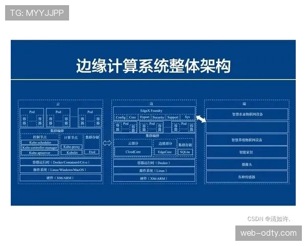 维尔茨与贝林厄姆：核心成长路径分化与战术适配逻辑对比
